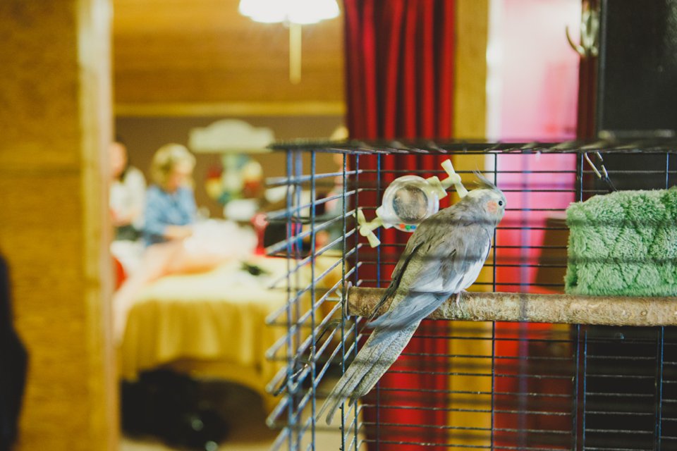 AlyssaNateWedding_0064_WEB